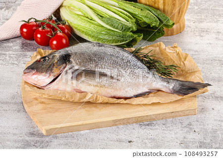 Raw dorada fish served rosemary Raw dorada fish served rosemary 108493257