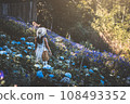 Traveler asian woman travel in flower garden at Chiang Mai Thailand 108493352