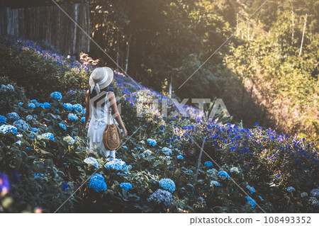 Traveler asian woman travel in flower garden at Chiang Mai Thailand Traveler asian woman travel in flower garden at Chiang Mai Thailand 108493352