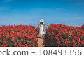 Traveler asian woman travel in flower garden at Chiang Mai Thailand 108493356