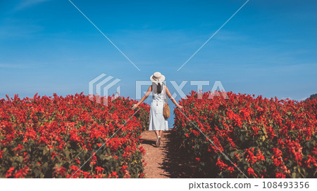 Traveler asian woman travel in flower garden at Chiang Mai Thailand Traveler asian woman travel in flower garden at Chiang Mai Thailand 108493356