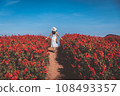 Traveler asian woman travel in flower garden at Chiang Mai Thailand 108493357