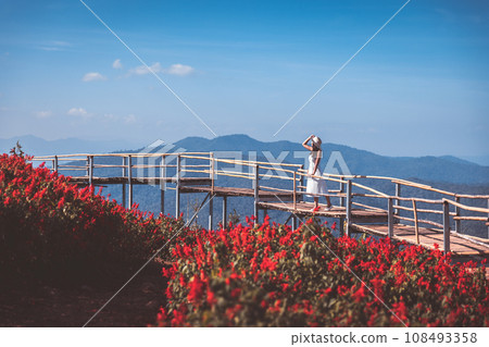 Traveler asian woman travel in flower garden at Chiang Mai Thailand 108493358