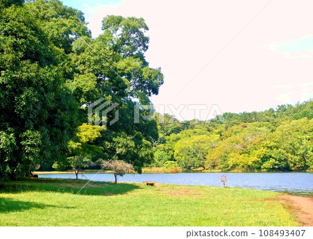 初秋的一碧湖,秋天還沒到來的時候。 初秋的一碧湖,秋天還沒到來的時候。 108493407