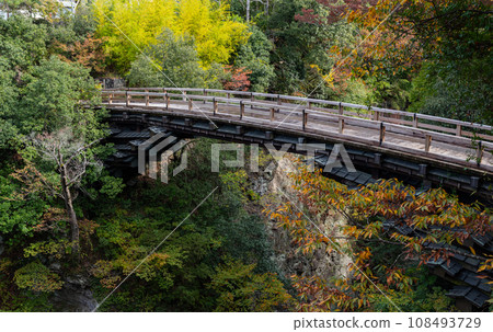 甲斐猿橋 山梨縣 108493729