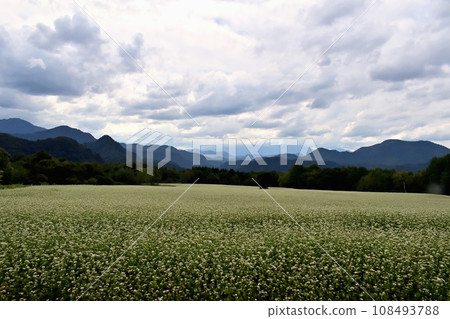 Takanoke soba field Takanoke soba field 108493788