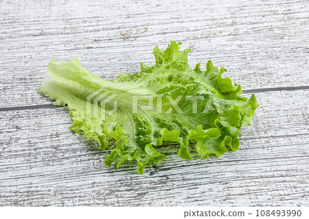 Ripe green salad lettuce leaf Ripe green salad lettuce leaf 108493990