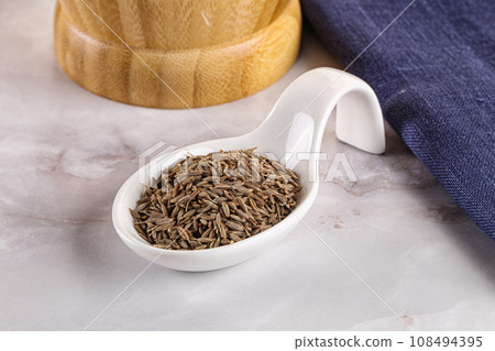 Zeera seeds in the bowl Zeera seeds in the bowl 108494395