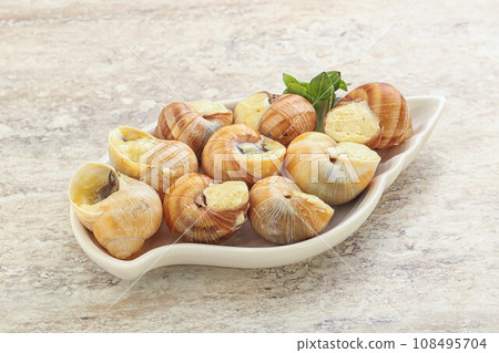 Delicous baked snail with butter - Escargot Delicous baked snail with butter - Escargot 108495704