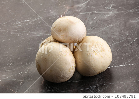 Natural organic ripe champignon mushrooms 108495791