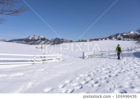 Image of snowshoe trekking Hiruzen Kogen 108496436