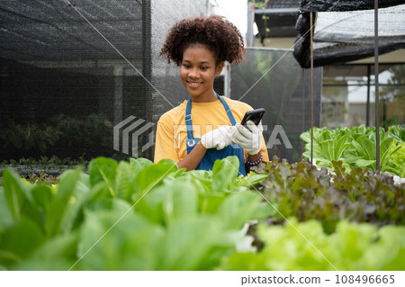 Portrait of happy half-Thai half African woman farmer standing behind a vegetable plot and using smartphone for check order. Concept of agriculture organic for health, Vegan food and Small business. Portrait of happy half-Thai half African woman farmer standing behind a vegetable plot and using smartphone for check order. Concept of agriculture organic for health, Vegan food and Small business. 108496665