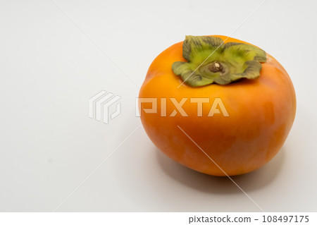 persimmon persimmon 108497175