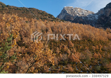 The Vio Valley and cliff of The Sestrales. The Vio Valley and cliff of The Sestrales. 108497329