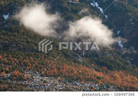 Landscape with mixed forest and clouds. 108497366