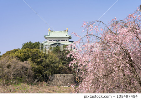 Nagoya Castle and weeping cherry blossoms Nagoya Castle and weeping cherry blossoms 108497484