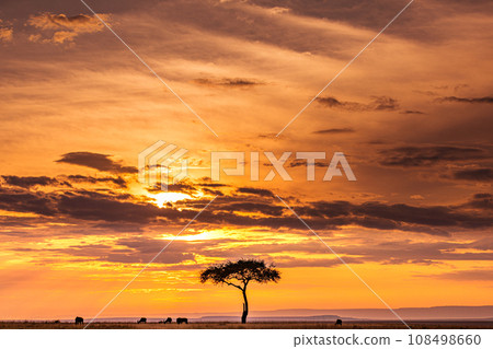 Kenya Landscape Sunset Sunrise Sundowner Wildlife animals savannah grassland wilderness hill shrubs great rift valley maasai mara national game reserve narok county kenya east africa 108498660