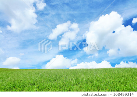 Refreshing summer blue sky and fresh green meadow landscape 108499314