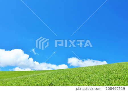 清爽的夏日藍天和清新的綠色草甸景觀 清爽的夏日藍天和清新的綠色草甸景觀 108499319