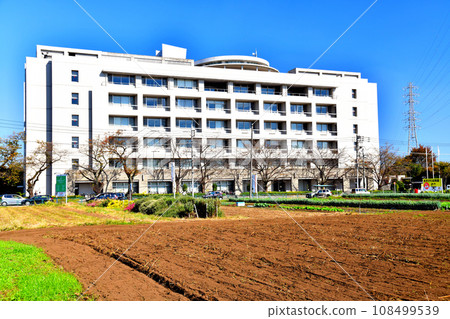 Around Akiruno City Hall (Akiruno City, Tokyo) [2023.11] 108499539