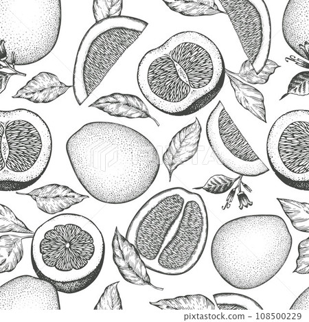 Hand drawn sketch style pomelo seamless pattern. Organic fresh fruit vector illustration. Retro fruit background Hand drawn sketch style pomelo seamless pattern. Organic fresh fruit vector illustration. Retro fruit background 108500229