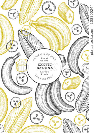 Hand drawn sketch style banana banner. Organic fresh fruit vector illustration. Retro exotic fruit design template 108500244