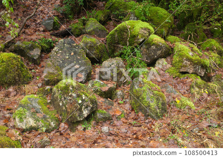 Landscape. 108500413