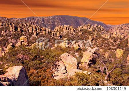Chiricahua National Monument Arizona Chiricahua National Monument Arizona 108501249