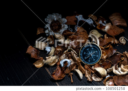 golden compass put on dried leaves on wooden retro black table golden compass put on dried leaves on wooden retro black table 108501258
