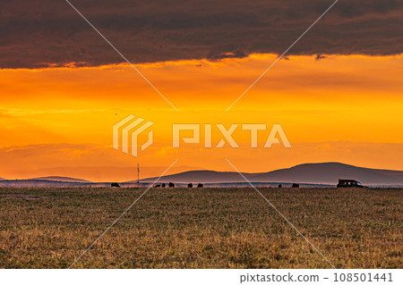 Kenyan Landscape Sunset Sunrise Sundowner Wildlife animals savannah grassland wilderness hill shrubs great rift valley maasai mara national game reserve narok county kenya east africa 108501441