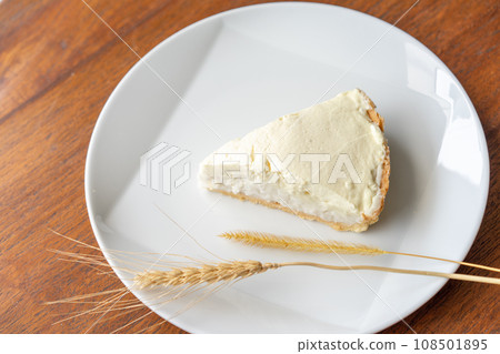Clear Coconut Cream Pie in the dish on the wood table without anything topping on it. Shooting in the sunlight. Clear Coconut Cream Pie in the dish on the wood table without anything topping on it. Shooting in the sunlight. 108501895