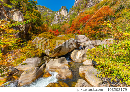 Autumn Shosenkyo - Spectacular valley (Yamanashi Prefecture) 108502179