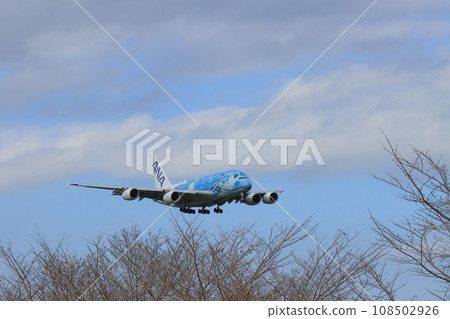 Flying Honu Airbus A380 Unit 1 108502926