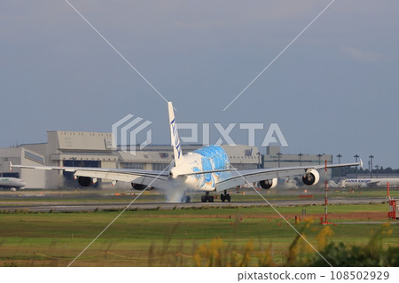 Flying Honu Airbus A380 Unit 1 108502929