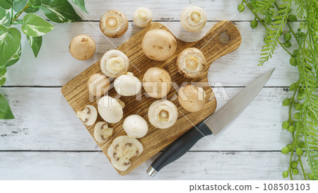 2種蘑菇(白色和棕色) 2種蘑菇(白色和棕色) 108503103