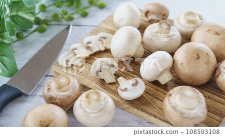 2種蘑菇(白色和棕色) 2種蘑菇(白色和棕色) 108503108