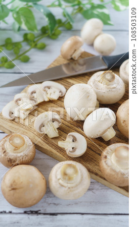 2種蘑菇（白色和棕色） 108503109