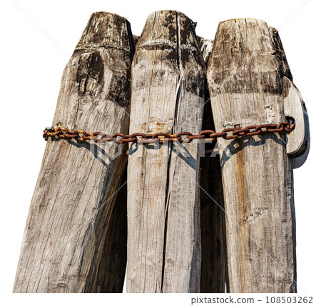 Closeup of wooden poles called Briccola or Bricola - Isolated on White 108503262