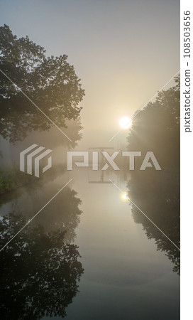 Sunrise Serenade: Mystique of Fog, Reflections and Tree Silhouettes 108503656