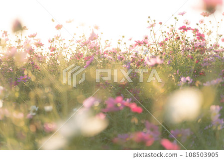 宇宙/秋天影像 宇宙/秋天影像 108503905