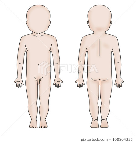 Pediatric boy whole body schematic diagram, faceless, color Pediatric boy whole body schematic diagram, faceless, color 108504335