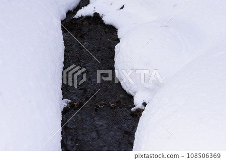 Primeval forest snow scene in midwinter Primeval forest snow scene in midwinter 108506369