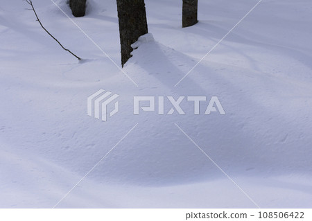 隆冬原始森林雪景 隆冬原始森林雪景 108506422