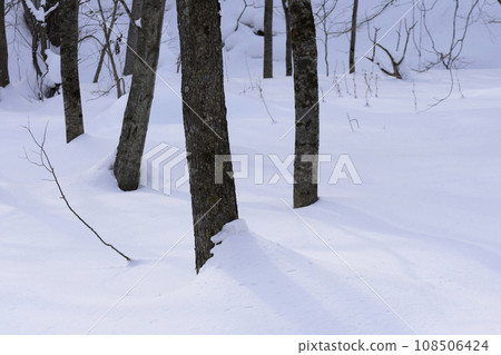隆冬原始森林雪景 隆冬原始森林雪景 108506424