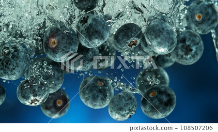 Blueberries Falling into Water. Blueberries Falling into Water. 108507206