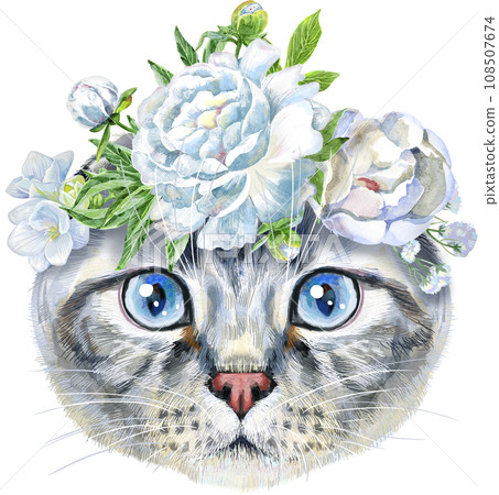 Lovely closeup portrait of scottish fold cat in a wreath of flowers. Hand drawn water colour painting on white background Lovely closeup portrait of scottish fold cat in a wreath of flowers. Hand drawn water colour painting on white background 108507674