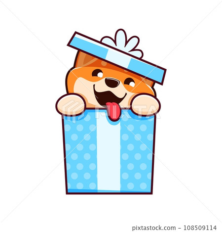 Cartoon kawaii Shiba Inu dog in gift box, cute puppy pet or funny kids animal, vector character. Smiling Shiba Inu puppy dog with tongue in birthday present box, baby mascot or happy dog emoji 108509114
