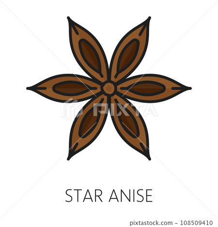 Chinese star anise or badian, dried star-shaped staranise, aniseed spice. Vector anise star aroma seasoning, color spicy condiment outline icon 108509410