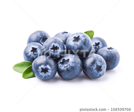 Blueberries with leaves on white backgrounds Blueberries with leaves on white backgrounds 108509708