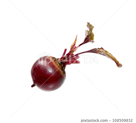 Beetroot with leaves, fresh whole beet isolated 108509832